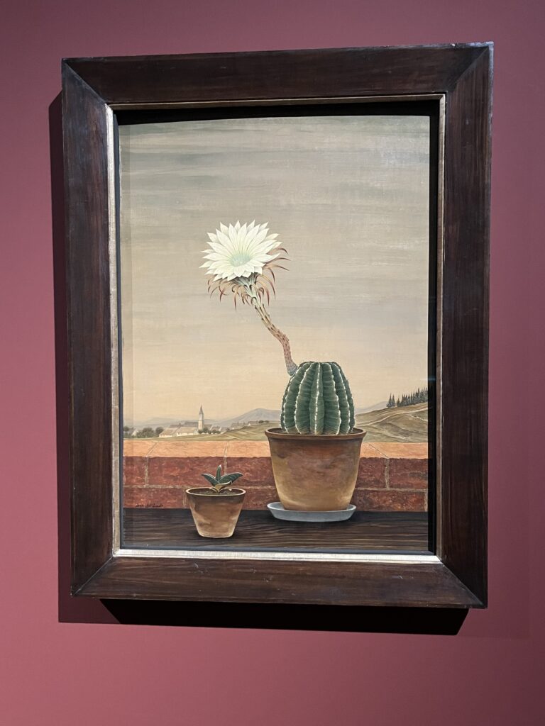 Flowering Cactus by Franz Lenk, Leopold Museum, Splendor and Misery Exhibition 